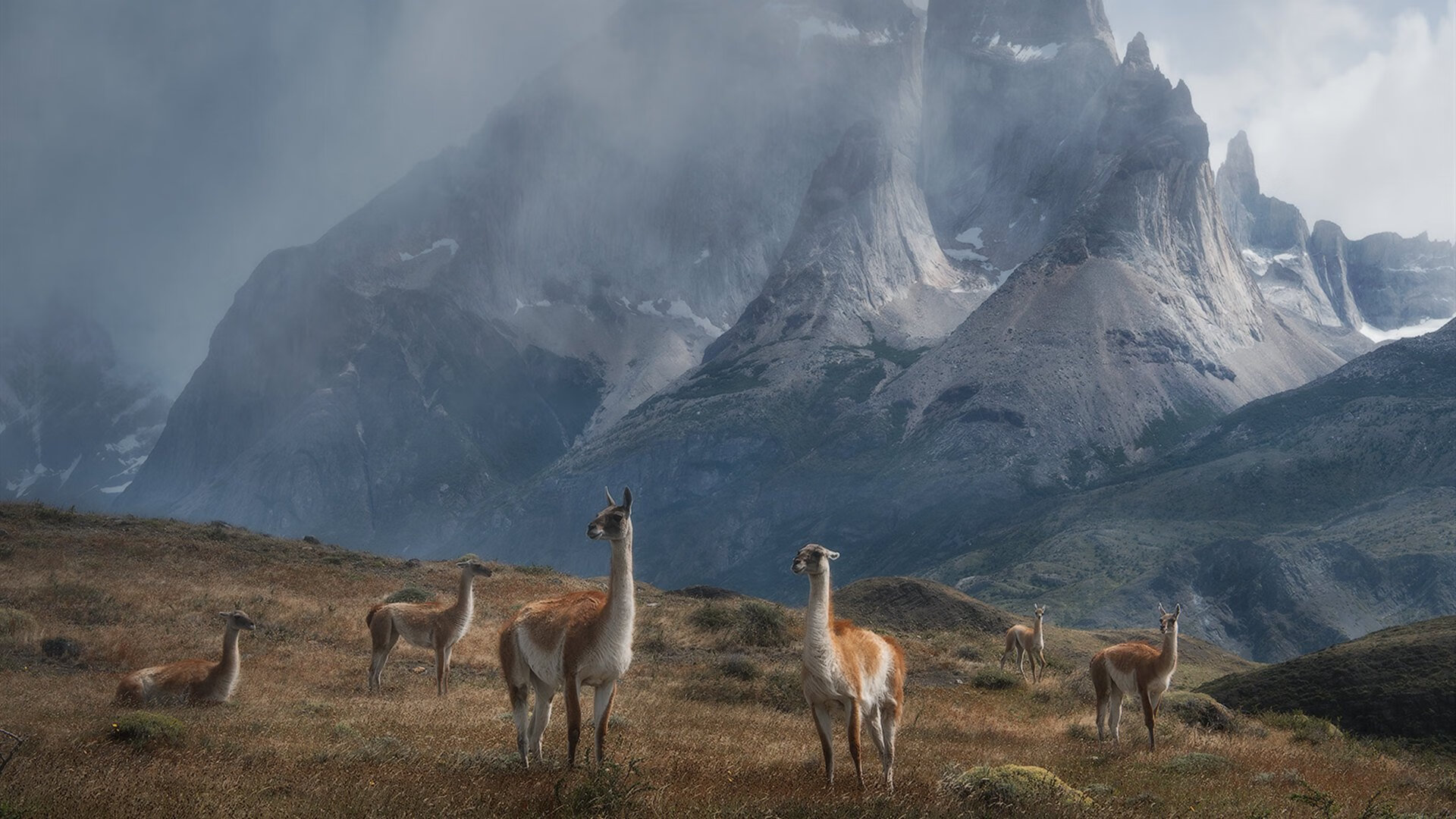 中国男篮年轻球员表现突出,中国男篮青年队员名单