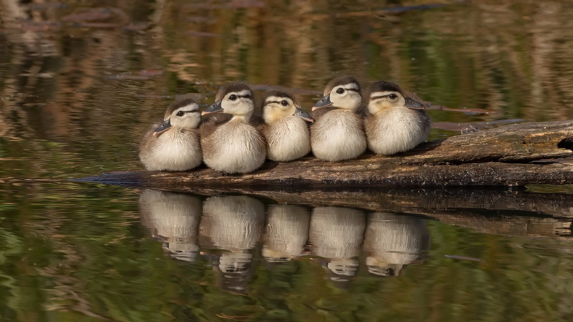 快节奏打法中失误后的反应速度是否至关重要，快节奏和慢节奏的利弊